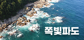 쪽빛파도