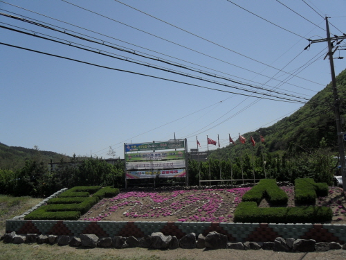 달산면을 수놓은 희망의 화단 
